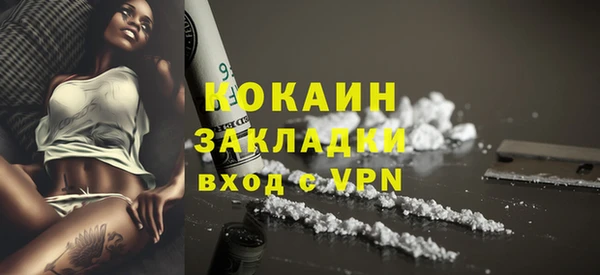 гашик Вязьма