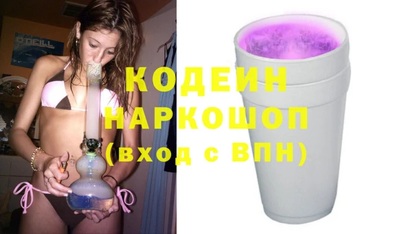 амф Гусь-Хрустальный