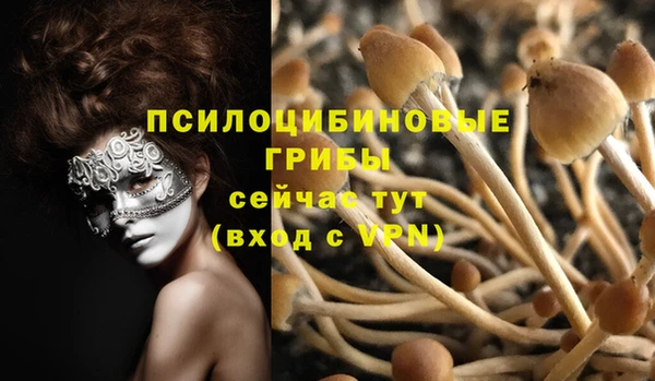 герыч Горнозаводск
