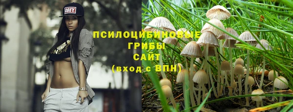 mdpv Верхний Тагил