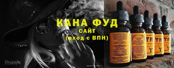 амф Гусь-Хрустальный