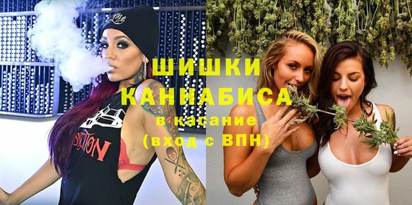 гашик Вязьма